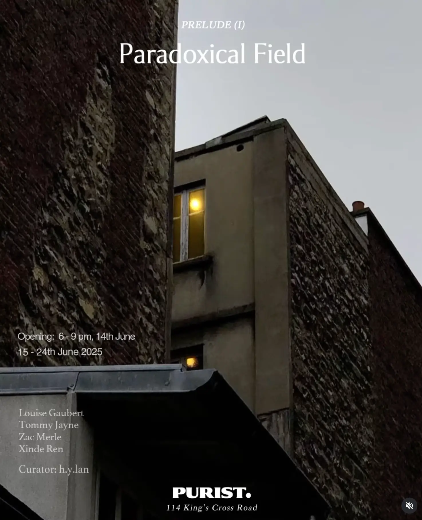 Paradoxical Field – Prelude (I) — image 1